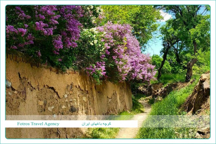 کوچه باغ های زیبای ایران